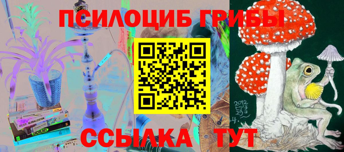 Алапаевск  Псилоцибиновые грибы MAGIC MUSHROOMS  купить закладку  Вход с VPN 